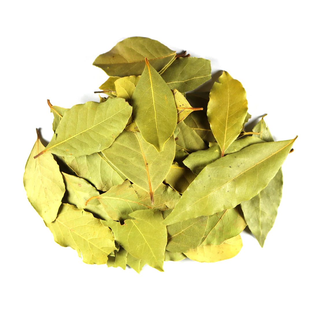 Bay Leaf