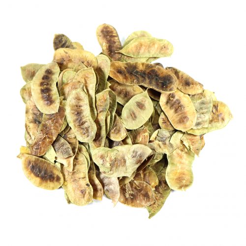 Buy Senna Pods Online | Angel Brand Spices