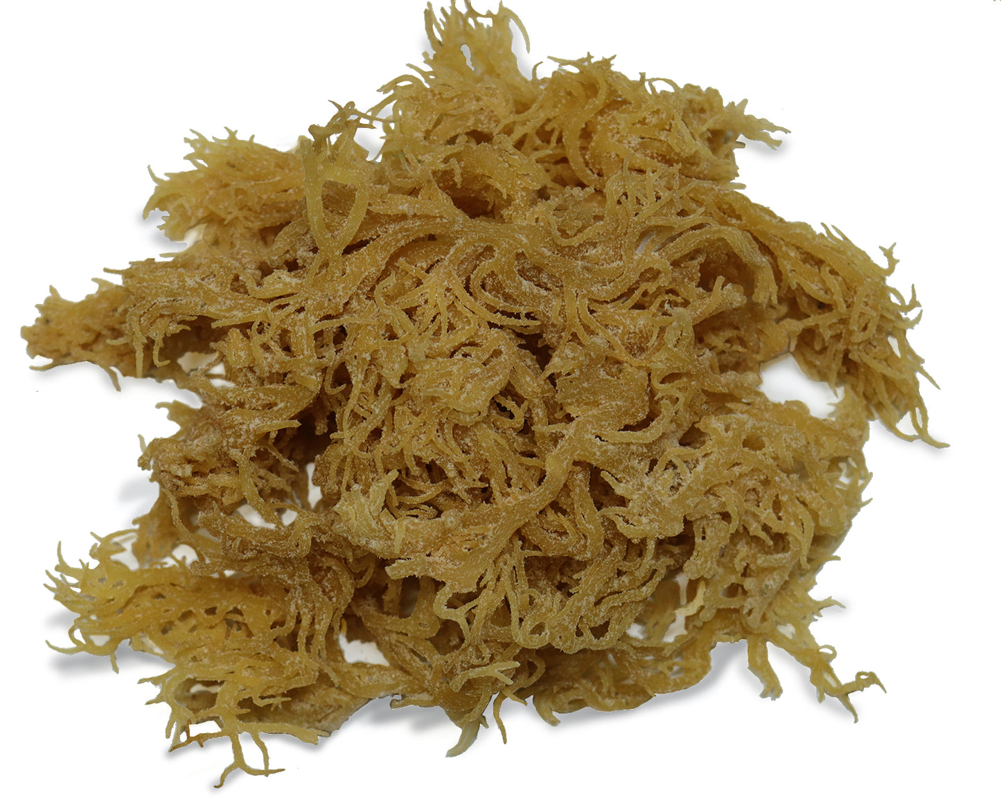 
                  
                    Shop Irish Moss | Sea moss or Sea Moss | Angel Brand Spices
                  
                